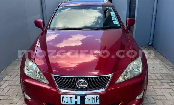 Buy Used Toyota 4Runner Red Car in Maputo in Maputo