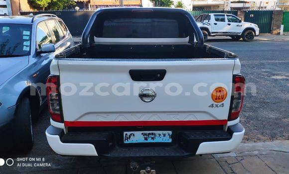 Buy Used Nissan Navara White Car in Maputo in Maputo Buy Used Nissan Navara White Car in Maputo in Maputo