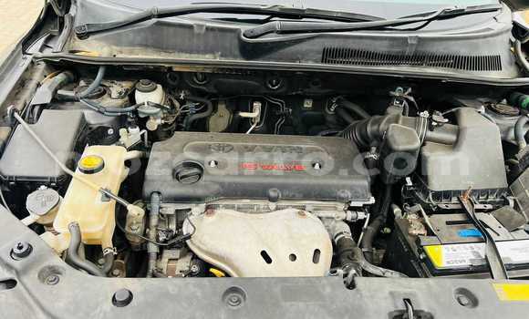 Tenga Tsaru Toyota Vanguard Zvimwe Mota in Maputo in Maputo Tenga Tsaru Toyota Vanguard Zvimwe Mota in Maputo in Maputo