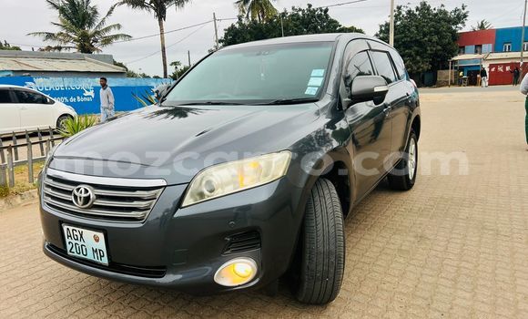 Tenga Tsaru Toyota Vanguard Zvimwe Mota in Maputo in Maputo Tenga Tsaru Toyota Vanguard Zvimwe Mota in Maputo in Maputo