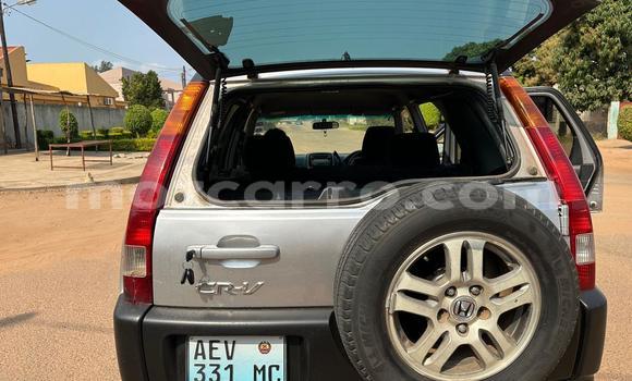 Buy Used Honda CR-V Other Car in Maputo in Maputo Buy Used Honda CR-V Other Car in Maputo in Maputo