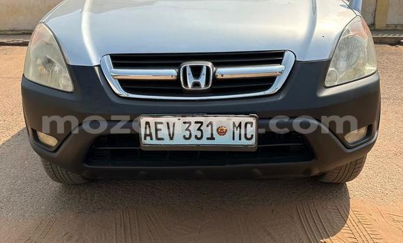 Buy Used Honda CR-V Other Car in Maputo in Maputo Buy Used Honda CR-V Other Car in Maputo in Maputo