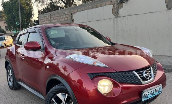 Buy Used Nissan Juke Other Car in Maputo in Maputo Buy Used Nissan Juke Other Car in Maputo in Maputo