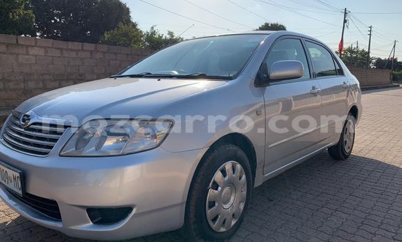 Comprar Usado Toyota Corolla Prata Carro em Maputo em Maputo Comprar Usado Toyota Corolla Prata Carro em Maputo em Maputo