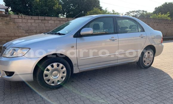Comprar Usado Toyota Corolla Prata Carro em Maputo em Maputo Comprar Usado Toyota Corolla Prata Carro em Maputo em Maputo