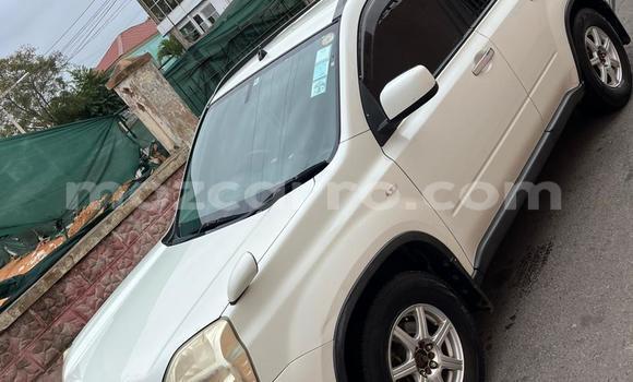 Tenga Tsaru Nissan X-Trail Chena Mota in Maputo in Maputo Tenga Tsaru Nissan X-Trail Chena Mota in Maputo in Maputo