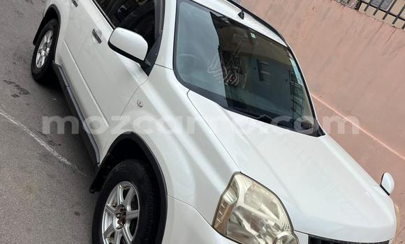 Tenga Tsaru Nissan X-Trail Chena Mota in Maputo in Maputo Tenga Tsaru Nissan X-Trail Chena Mota in Maputo in Maputo