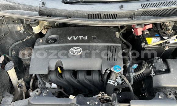 Buy Used Toyota Ractis Black Car in Maputo in Maputo Buy Used Toyota Ractis Black Car in Maputo in Maputo