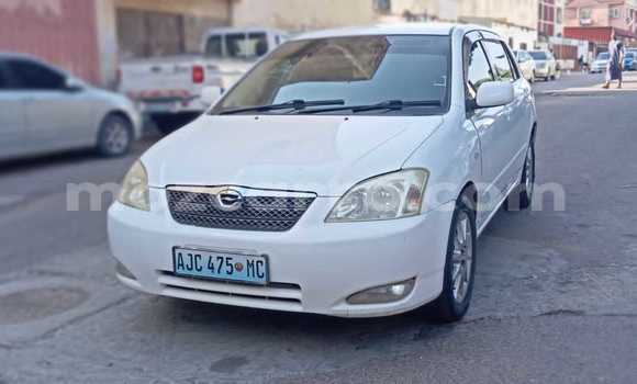 Buy Used Toyota Runx White Car in Maputo in Maputo