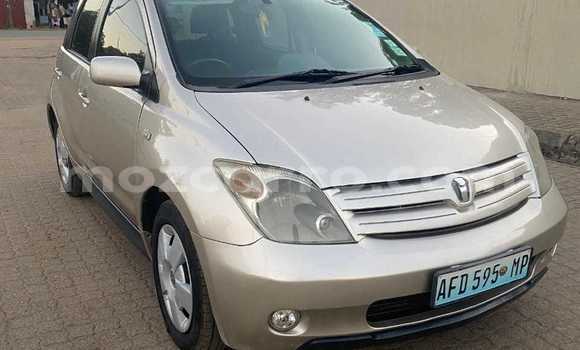Buy Used Toyota IST Other Car in Maputo in Maputo