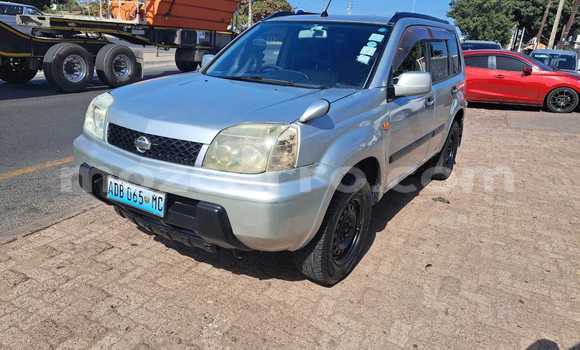 Tenga Tsaru Nissan X-Trail Sirivha Mota in Maputo in Maputo