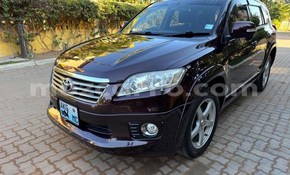 Buy Used Toyota Vanguard Other Car in Maputo in Maputo