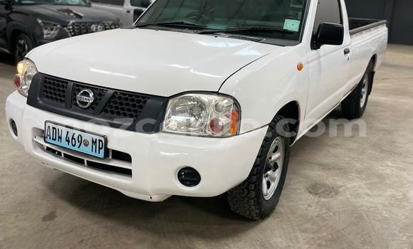 Tenga Tsaru Nissan Hardbody Chena Mota in Maputo in Maputo
