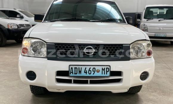 Buy Used Nissan Hardbody White Car in Maputo in Maputo Buy Used Nissan Hardbody White Car in Maputo in Maputo