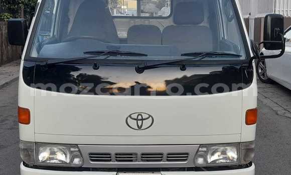 Buy New Toyota Dyna White Truck in Maputo in Maputo Buy New Toyota Dyna White Truck in Maputo in Maputo