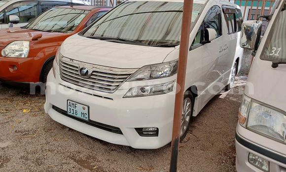 Comprar Novo Toyota Vellfire Branco Carro em Maputo em Maputo