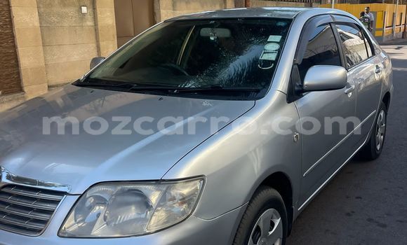 Nunua Ilio tumika Toyota Corolla Fedha Gari ndani ya Maputo nchini Maputo Nunua Ilio tumika Toyota Corolla Fedha Gari ndani ya Maputo nchini Maputo