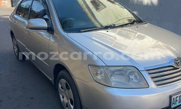 Nunua Ilio tumika Toyota Corolla Fedha Gari ndani ya Maputo nchini Maputo Nunua Ilio tumika Toyota Corolla Fedha Gari ndani ya Maputo nchini Maputo