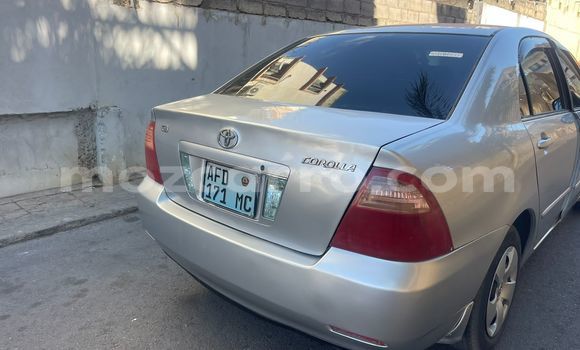 Nunua Ilio tumika Toyota Corolla Fedha Gari ndani ya Maputo nchini Maputo Nunua Ilio tumika Toyota Corolla Fedha Gari ndani ya Maputo nchini Maputo