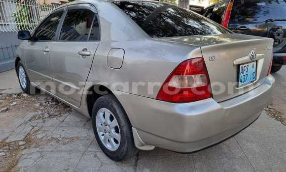 Tenga Tsaru Toyota Corolla Sirivha Mota in Maputo in Maputo Tenga Tsaru Toyota Corolla Sirivha Mota in Maputo in Maputo