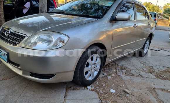Tenga Tsaru Toyota Corolla Sirivha Mota in Maputo in Maputo Tenga Tsaru Toyota Corolla Sirivha Mota in Maputo in Maputo