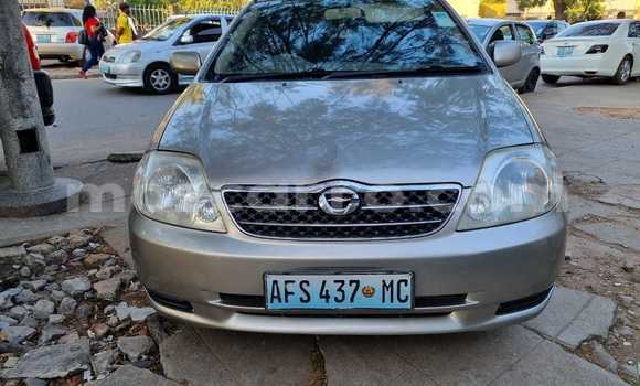 Tenga Tsaru Toyota Corolla Sirivha Mota in Maputo in Maputo Tenga Tsaru Toyota Corolla Sirivha Mota in Maputo in Maputo