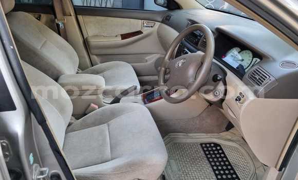 Tenga Tsaru Toyota Corolla Sirivha Mota in Maputo in Maputo Tenga Tsaru Toyota Corolla Sirivha Mota in Maputo in Maputo