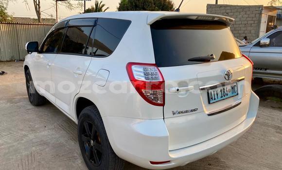 Buy New Toyota Vanguard White Car in Maputo in Maputo Buy New Toyota Vanguard White Car in Maputo in Maputo