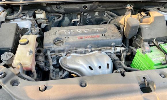 Buy New Toyota Vanguard White Car in Maputo in Maputo Buy New Toyota Vanguard White Car in Maputo in Maputo