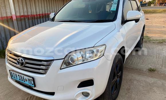 Buy New Toyota Vanguard White Car in Maputo in Maputo Buy New Toyota Vanguard White Car in Maputo in Maputo