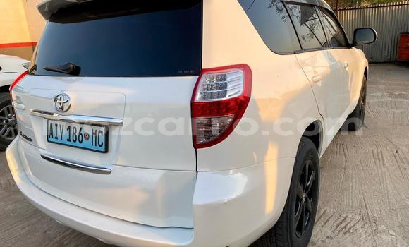 Buy New Toyota Vanguard White Car in Maputo in Maputo Buy New Toyota Vanguard White Car in Maputo in Maputo