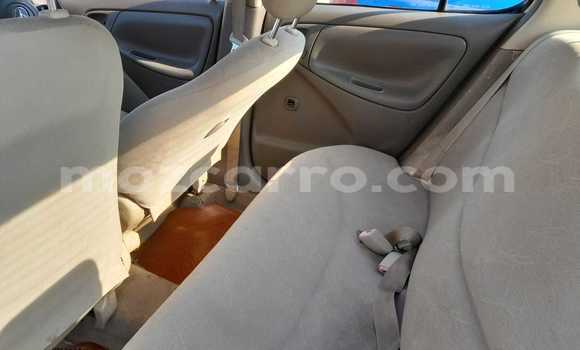 Tenga Tsaru Toyota Platz Zvimwe Mota in Maputo in Maputo Tenga Tsaru Toyota Platz Zvimwe Mota in Maputo in Maputo