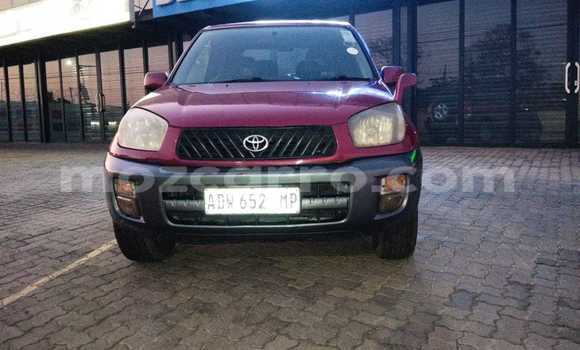 Comprar Usado Toyota RAV4 Vermelho Carro em Maputo em Maputo Comprar Usado Toyota RAV4 Vermelho Carro em Maputo em Maputo