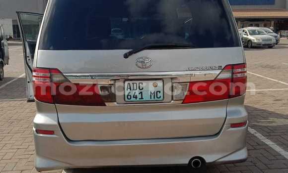 Tenga Tsaru Toyota Alphard Zvimwe Mota in Maputo in Maputo Tenga Tsaru Toyota Alphard Zvimwe Mota in Maputo in Maputo