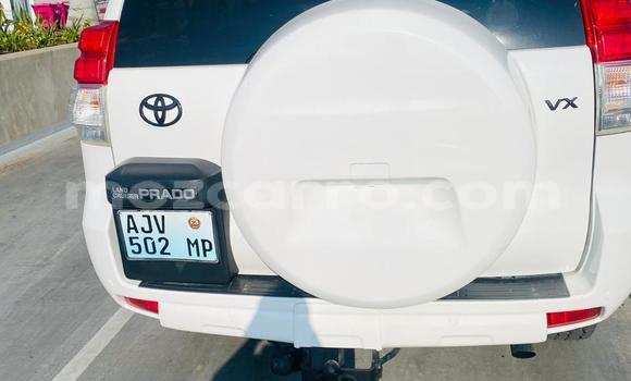 Buy Used Toyota Land Cruiser Prado White Car in Maputo in Maputo Buy Used Toyota Land Cruiser Prado White Car in Maputo in Maputo