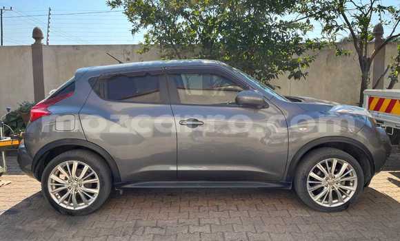 Tenga Tsaru Nissan Juke Zvimwe Mota in Maputo in Maputo