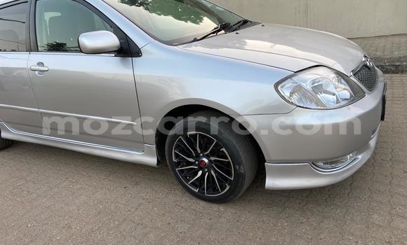 Buy Used Toyota Runx Silver Car in Maputo in Maputo Buy Used Toyota Runx Silver Car in Maputo in Maputo