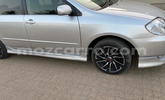 Buy Used Toyota Runx Silver Car in Maputo in Maputo Buy Used Toyota Runx Silver Car in Maputo in Maputo