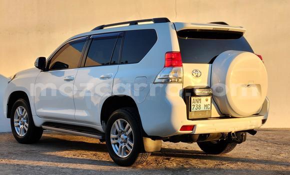 Tenga Itsva Toyota Land Cruiser Prado Chena Mota in Maputo in Maputo Tenga Itsva Toyota Land Cruiser Prado Chena Mota in Maputo in Maputo