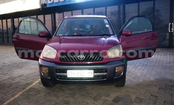 Buy Used Toyota RAV4 Red Car in Maputo in Maputo Buy Used Toyota RAV4 Red Car in Maputo in Maputo