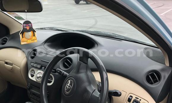 Tenga Tsaru Toyota Vitz Sirivha Mota in Maputo in Maputo Tenga Tsaru Toyota Vitz Sirivha Mota in Maputo in Maputo