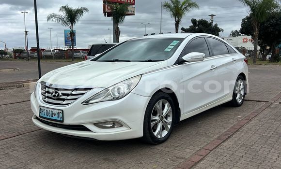 Buy Used Hyundai Elantra White Car in Maputo in Maputo Buy Used Hyundai Elantra White Car in Maputo in Maputo