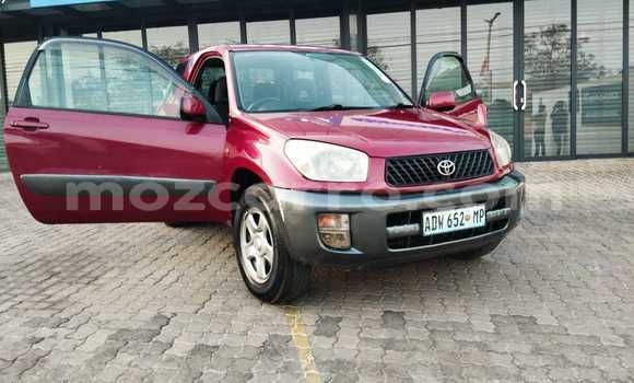 Buy Used Toyota RAV4 Red Car in Maputo in Maputo Buy Used Toyota RAV4 Red Car in Maputo in Maputo