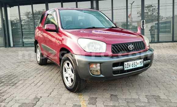 Buy Used Toyota RAV4 Red Car in Maputo in Maputo Buy Used Toyota RAV4 Red Car in Maputo in Maputo
