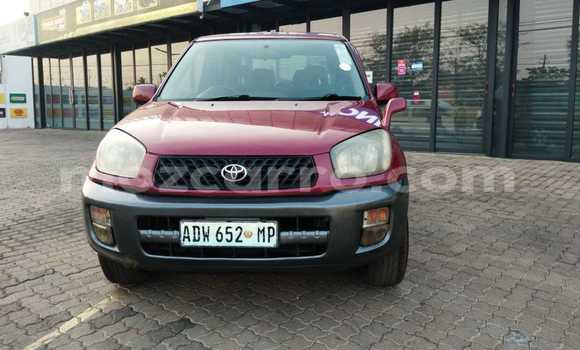 Buy Used Toyota RAV4 Red Car in Maputo in Maputo Buy Used Toyota RAV4 Red Car in Maputo in Maputo