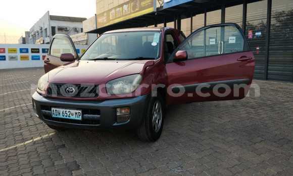 Buy Used Toyota RAV4 Red Car in Maputo in Maputo Buy Used Toyota RAV4 Red Car in Maputo in Maputo