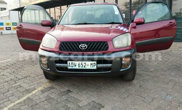 Buy Used Toyota RAV4 Red Car in Maputo in Maputo Buy Used Toyota RAV4 Red Car in Maputo in Maputo