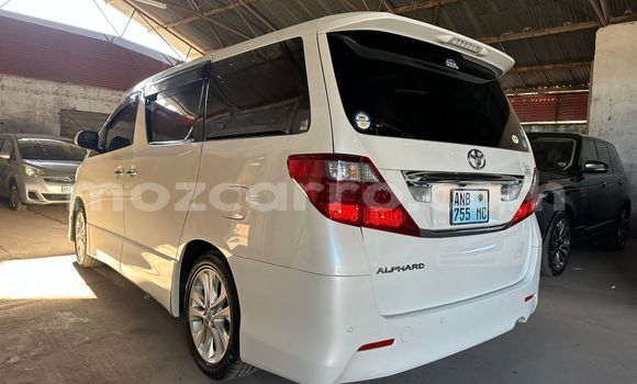 Comprar Novo Toyota Alphard Branco Carro em Maputo em Maputo Comprar Novo Toyota Alphard Branco Carro em Maputo em Maputo