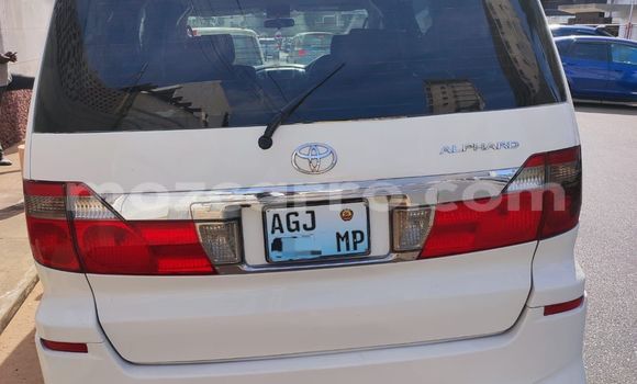 Comprar Usado Toyota Alphard Branco Carro em Maputo em Maputo Comprar Usado Toyota Alphard Branco Carro em Maputo em Maputo