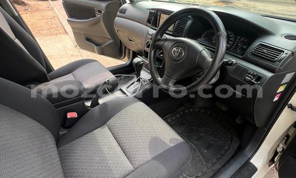 Nunua Ilio tumika Toyota Runx Nyeupe Gari ndani ya Maputo nchini Maputo Nunua Ilio tumika Toyota Runx Nyeupe Gari ndani ya Maputo nchini Maputo